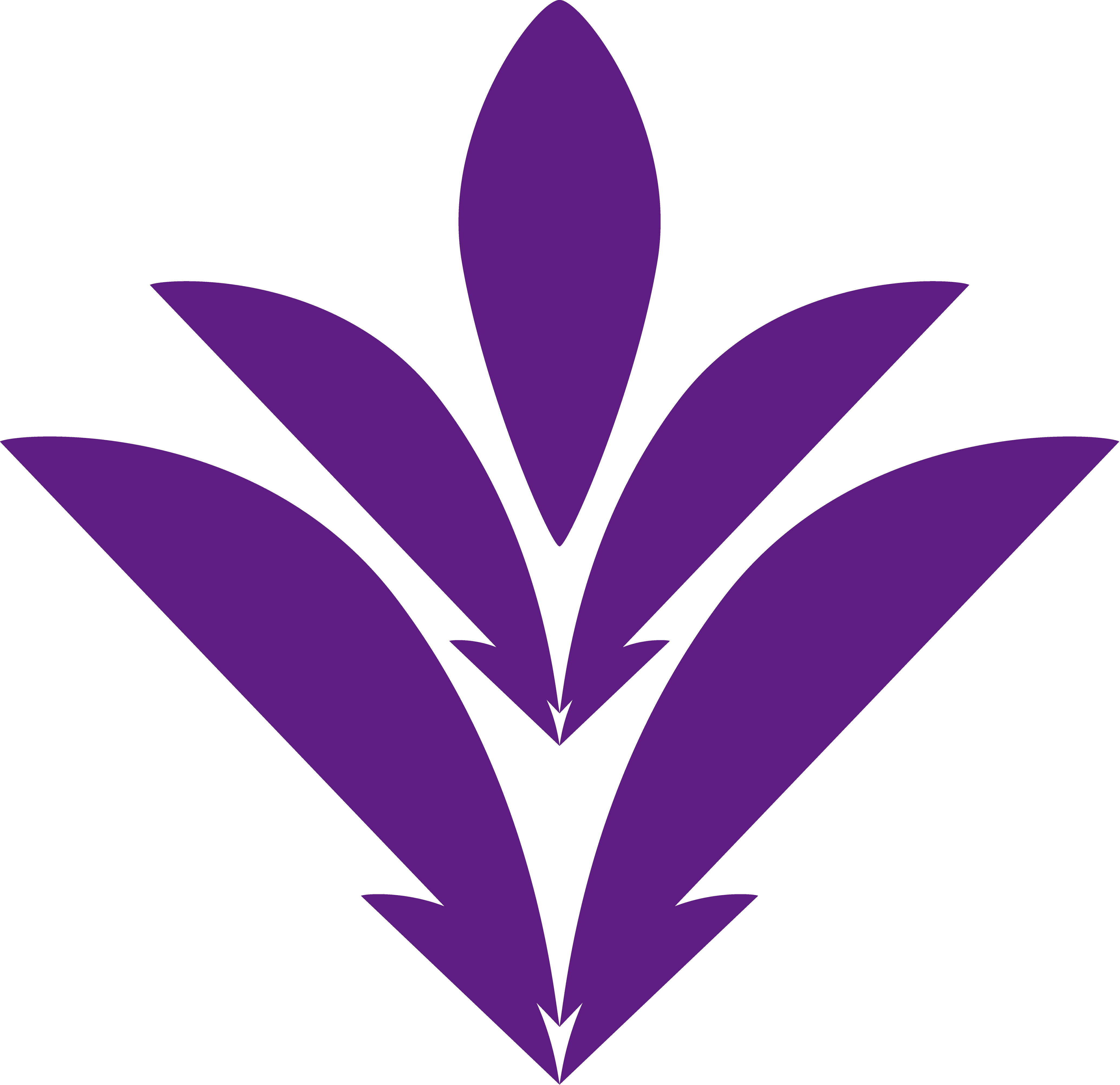 CXg2